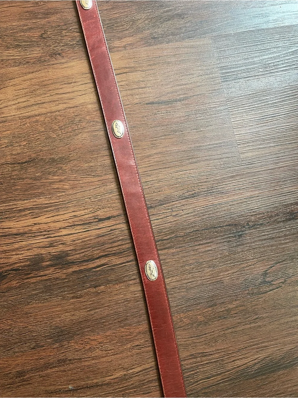 Greg Norman READ Men 42 Italian Leather Conchos Belt Shark SilverTone Hardware